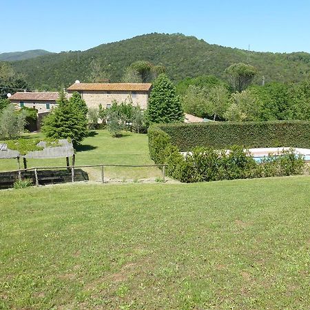Agriturismo Le Colline Montescudaio Kamer foto